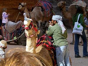 Yes, that's a camel drinking a bottled water! We saw this camel perform this trick with two whole bottles - was fun to see!