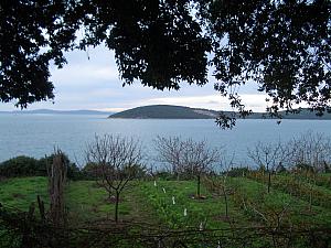 Overlooking the Adriatic Sea and the island of Ciovo.