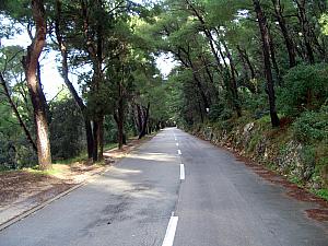 The tree-lined path in Marjan park