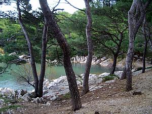 An inlet/cove that is a popular summertime swimming spot.