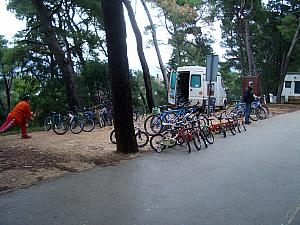 The bikes are available for rent at Spinut Gate, which is the main entrance to the park.