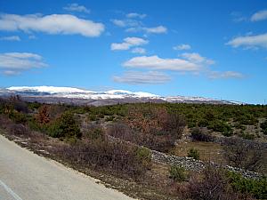 Snow-capped mountains in the distance