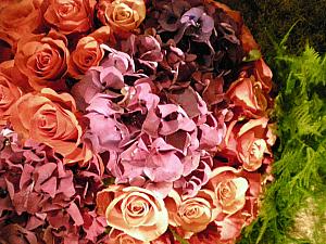 Flower show in the Diocletian Palace basement