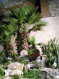 open garden area in Diocletian Palace basement