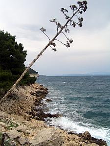 Makarska