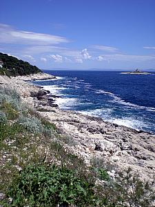 Path to the Beach