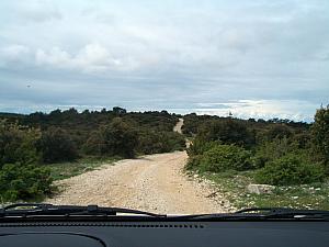 Here's our crazy gravel road -- we drove on this for about 25 minutes. Didn't go more than 15mph because it was very bumpy and full of mud/water-filled potholes 