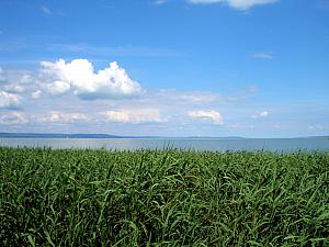 Lake Balaton