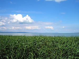 Lake Balaton