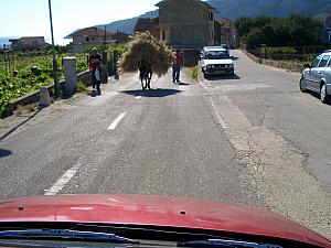 On our way back to Komiza, we passed a mule carrying a load of hay.