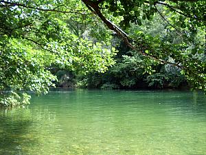 Cetina River