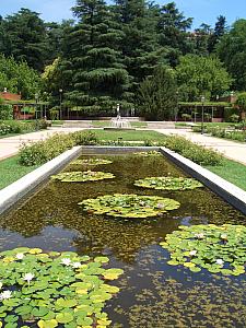 Visiting Madrid's West Park