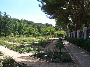 Visiting Madrid's West Park