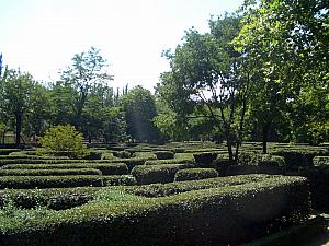 El Capricho - sculptured shrubs