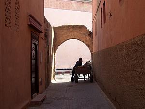 At the end of the street, another donkey cart.