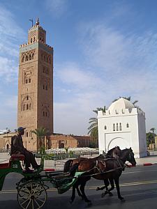 Koutoubia mosque again. Many horse carriages were available near the main square, but carriage ride in 100+ degree heat did not seem very appealing. 