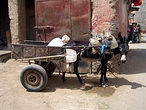 Typical street in the medina, another donkey cart.