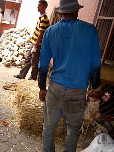 Guy walking away with his purchase, a live chicken! Kelly wanted to buy one to take home, but I wouldn't let her. (Okay, I made that up.)