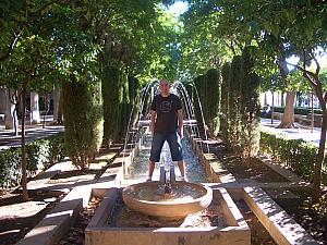 Jay monkeying in the cathedral's gardens.