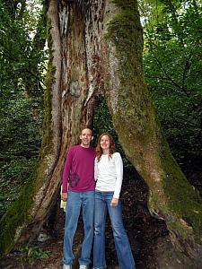 Going on a hike in a national park to see a waterfall.