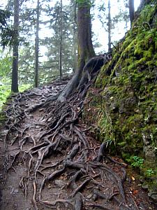 Part of our path to and from the monastery, on the way back.