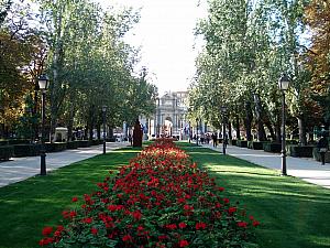 Flower garden in Retiro Park