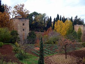 Alhambra - the Generalife gardens