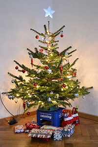 Munich, Germany - Ken and Jenna's little Christmas tree that could :)