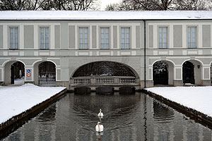 Swans swimming at Nymphenburg Schloss