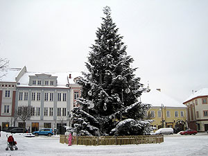 Christmas tree at Vilnius, Lithuania