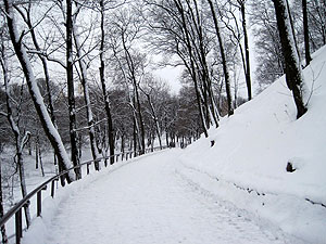 Walking up to a castle and city viewpoint atop a big hill, trekking through the snow.