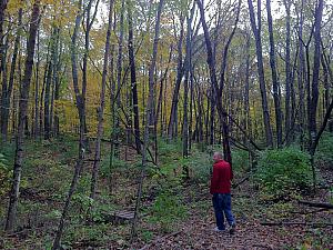 Caesar Creek State Park