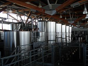 Fermenting tanks in the winery