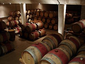 Cellar filled with oak barrels at the winery