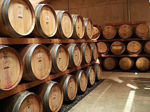 Cellar filled with oak barrels at the winery