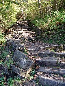 The beginning of the 450 steps back to the top.