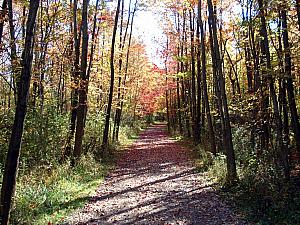 A pretty trail.