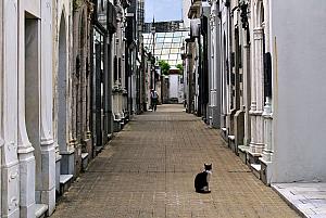 Buenos Aires - La Recoleta cemetery