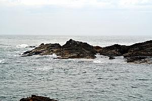 Punta del Esta - Punta Ballena -- look for the sea lion!