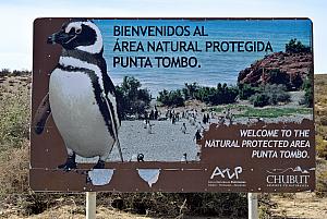 Visiting the Punta Tombo National Reserve - a protected area where hundreds of thousands of penguins use each summer to breed and raise their young.