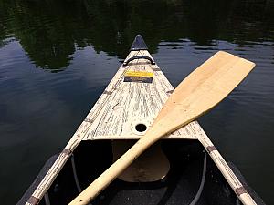 The cabin included free use of a rowboat, a canoe and a paddle-boat. We're out on the canoe!