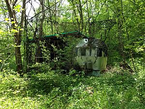 During our trek, we came upon this abandoned trailer home lost in the woods. It must have been sitting here for decades, completely overgrown around it. A little unnerving ;)