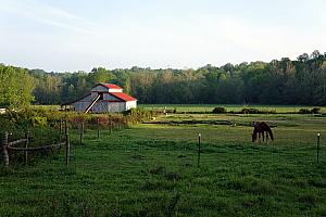 A neighboring farm 