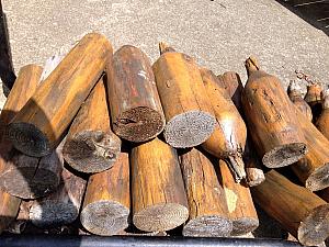 Firewood