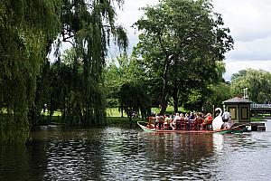 At Boston's Public Garden. The swan boat is basically a giant paddle boat. The guy in the back is pedaling!