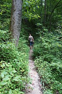 Jay heading off into the wilderness.