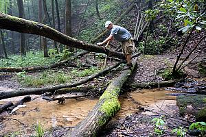 Chad showing off his agility, avoiding this rushing river