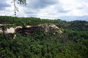 Looking back towards the Indian Staircase