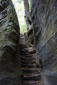 View looking back up the staircase