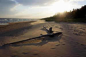 Whitefish Dunes State Park - a little bit warmer and it would have felt like being in Florida. The sand was so nice and soft.